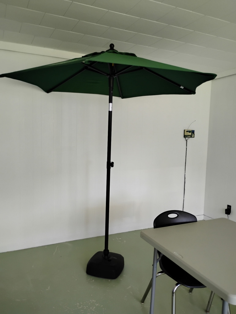 umbrella-2